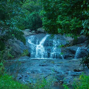 Wild Courtyard Resort Wayanad
